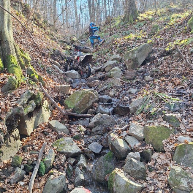 WhatsApp Image 2026-01-18 at 09.08.57 (1)