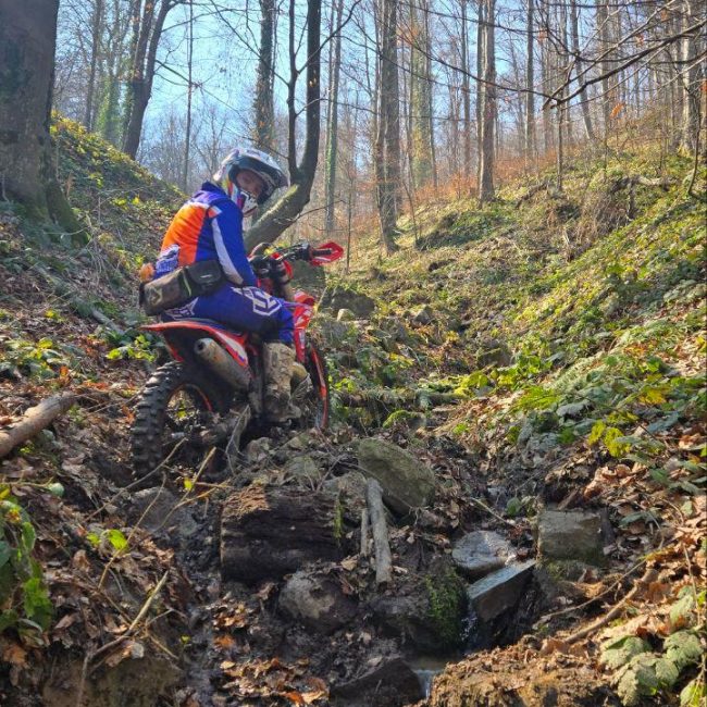 WhatsApp Image 2026-01-18 at 09.08.57 (2)