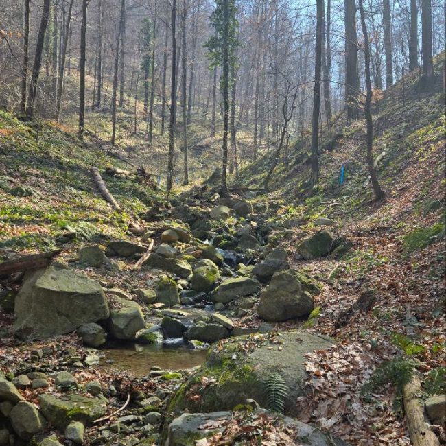 WhatsApp Image 2026-01-18 at 09.08.57 (3)