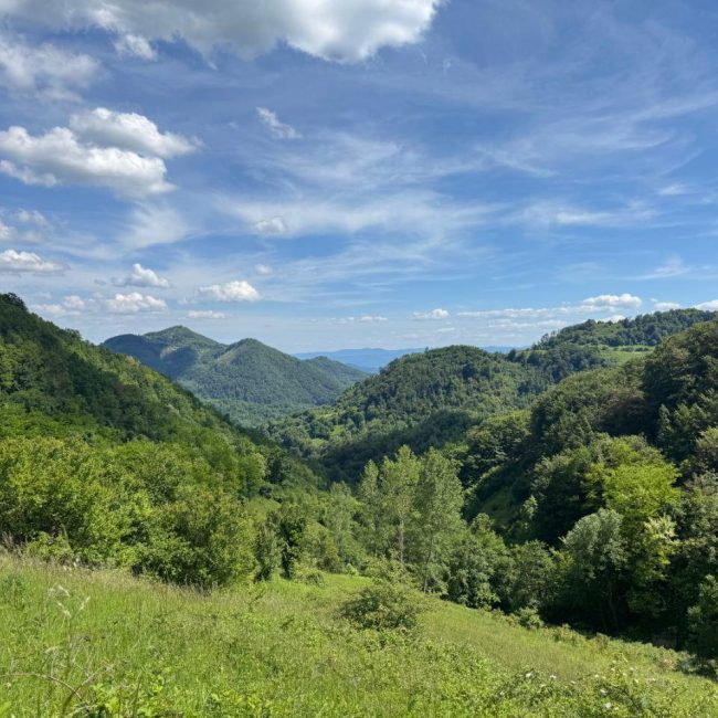 WhatsApp Image 2026-01-18 at 09.08.57