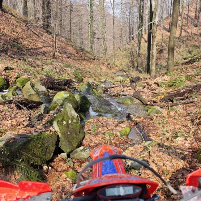 photo_2026-01-18_20-50-33